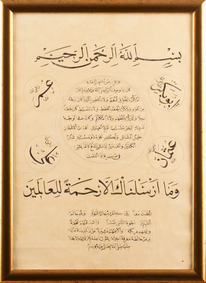 278-Zeynep Kaya (Satışta Değil)